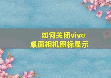 如何关闭vivo桌面相机图标显示