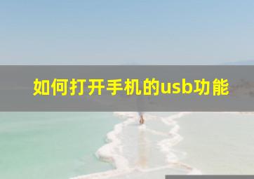 如何打开手机的usb功能