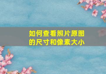 如何查看照片原图的尺寸和像素大小