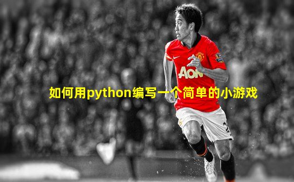 如何用python编写一个简单的小游戏