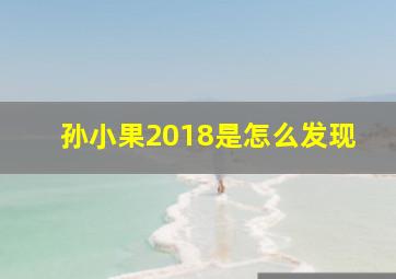 孙小果2018是怎么发现