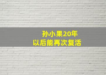 孙小果20年以后能再次复活