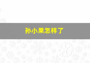 孙小果怎样了