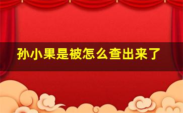 孙小果是被怎么查出来了