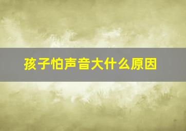 孩子怕声音大什么原因