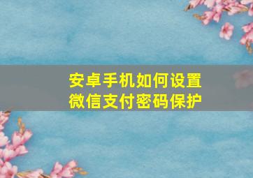 安卓手机如何设置微信支付密码保护