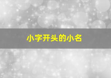 小字开头的小名