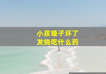 小孩嗓子坏了发烧吃什么药