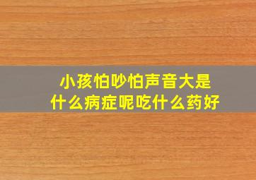 小孩怕吵怕声音大是什么病症呢吃什么药好