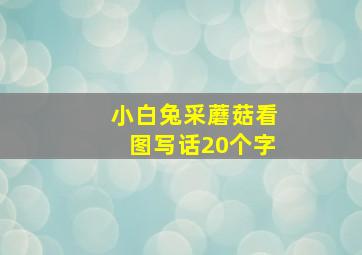 小白兔采蘑菇看图写话20个字