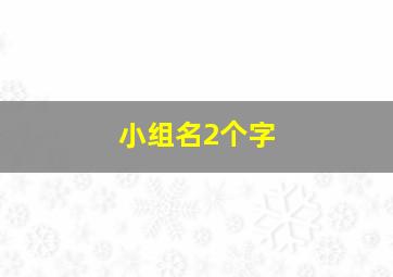 小组名2个字