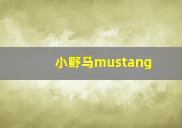 小野马mustang