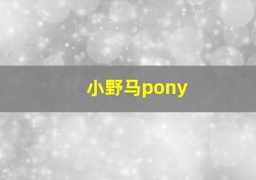 小野马pony