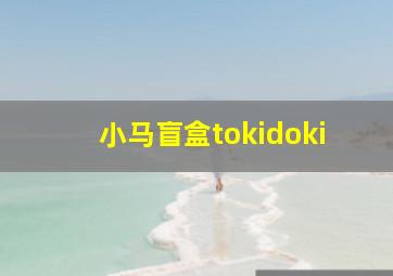 小马盲盒tokidoki