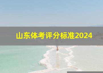 山东体考评分标准2024