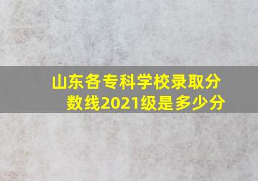 山东各专科学校录取分数线2021级是多少分