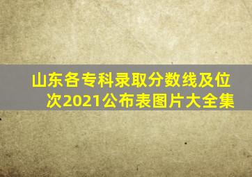 山东各专科录取分数线及位次2021公布表图片大全集