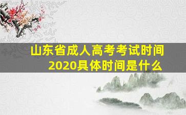 山东省成人高考考试时间2020具体时间是什么