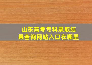 山东高考专科录取结果查询网站入口在哪里