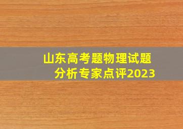 山东高考题物理试题分析专家点评2023