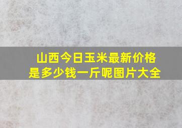 山西今日玉米最新价格是多少钱一斤呢图片大全