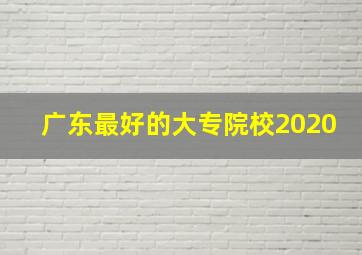 广东最好的大专院校2020