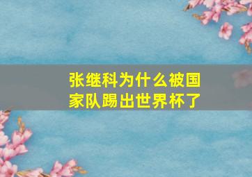 张继科为什么被国家队踢出世界杯了