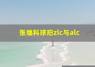 张继科球拍zlc与alc