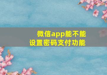 微信app能不能设置密码支付功能