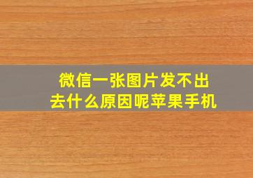 微信一张图片发不出去什么原因呢苹果手机