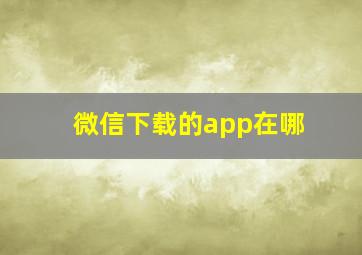 微信下载的app在哪