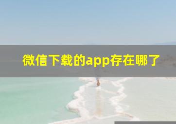 微信下载的app存在哪了