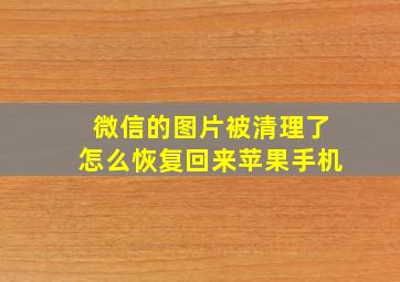 微信的图片被清理了怎么恢复回来苹果手机