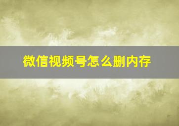 微信视频号怎么删内存