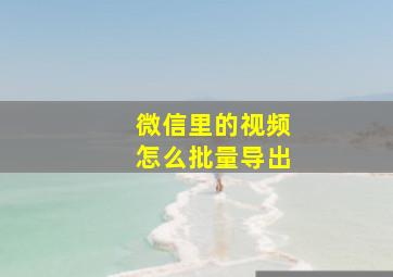 微信里的视频怎么批量导出