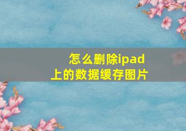 怎么删除ipad上的数据缓存图片