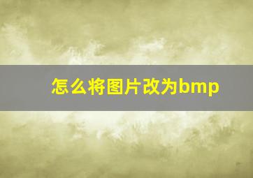 怎么将图片改为bmp