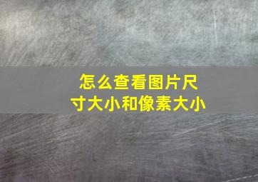 怎么查看图片尺寸大小和像素大小