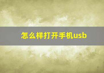 怎么样打开手机usb