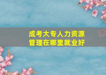 成考大专人力资源管理在哪里就业好