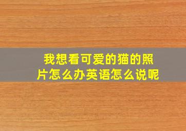 我想看可爱的猫的照片怎么办英语怎么说呢