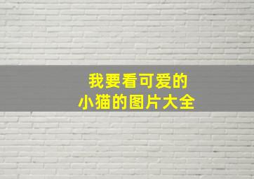 我要看可爱的小猫的图片大全