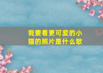 我要看更可爱的小猫的照片是什么歌