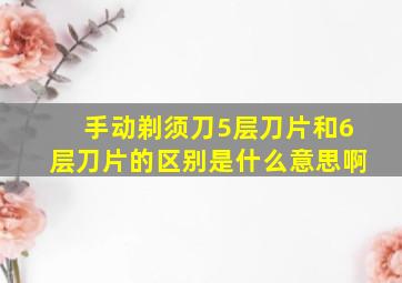 手动剃须刀5层刀片和6层刀片的区别是什么意思啊