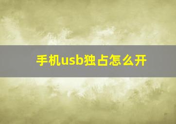 手机usb独占怎么开