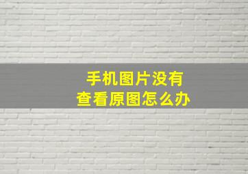 手机图片没有查看原图怎么办