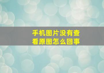 手机图片没有查看原图怎么回事