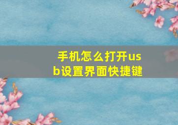 手机怎么打开usb设置界面快捷键