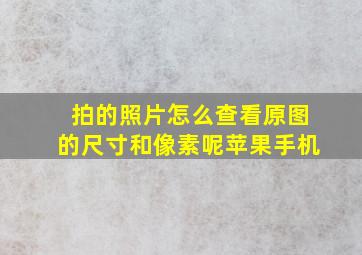 拍的照片怎么查看原图的尺寸和像素呢苹果手机