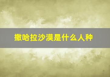 撒哈拉沙漠是什么人种